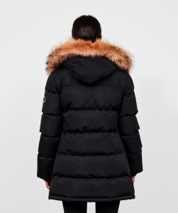 zavetti canada goshawa padded parka jacket black